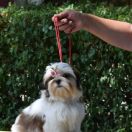 Meaning Of Life Love Story