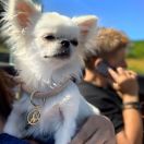 Tiffany Stilish Babe