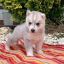 Lizbona z Bratkowej Ohany