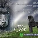 INKYSTONE JASET ADVENTURE