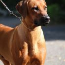 Sarbina Southern Africa 