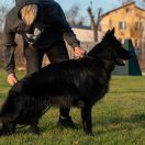 Kingsman-Schwarz Eylandt