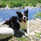 Flexi Team Snow White