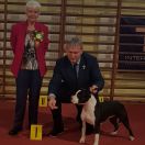 BARBIE GIRL POKEROWY ZYWOT PRIME TOUCH