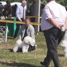 Energy Of Love From A&d