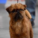 KEANU REVEES Corsairey Casch 