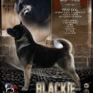  Bearfactz BLACK SHADOW