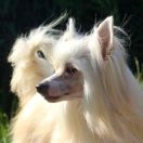 Greece Artagasamazis