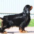 IRLAIN OF BYUTI ETOILE NUAR 