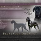 Sashimi Planeta Doga FCI 