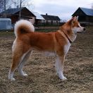 KASUMI Przystań Akity