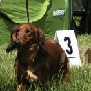 Brandy Daisy Long and Lovely