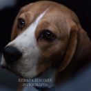 Ch.Pl ASAJJ VENTRESS from Sith Empire