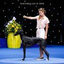 Logan de Monte Podrido