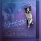 EXTRAORDINARY JEDI SHEPHERD 