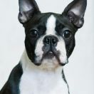 KHARKOV STYLE Hey Look Me Over