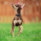 HARMONIE Secure Power