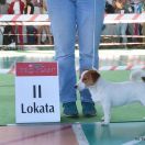 AVATAR YAKIPYES Linea Luna