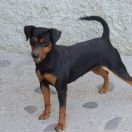 Kissed by the Moon di casa Glaunic