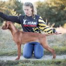 AUTODESTRUKCJA Z Posiadłości Szaleństwa