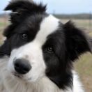 MOMENTS OF MERCY Valjeta