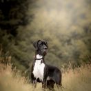 UNBELIEVABLE with Red Ribbon