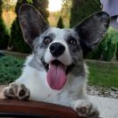 Solar Satelitte KEVIN 