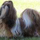 Bigg-Sann’s Ber-Ni-Z aka Olga