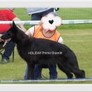 Holiday Primo Grande 