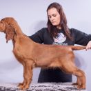 DEJA VU MATRIX Ginger State of Mind