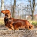 ZEPHYR Elimar Doubrava