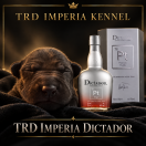 TRD IMPERIA DICTADOR