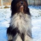 Inouk Bonny v.h. Haskerhus