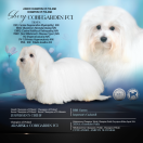 Sherry Cobegarden (FCI)