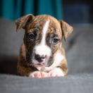 TIANA Because of Crazy Time 