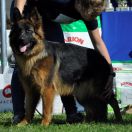 GRACJA z Kaszubskiego Zakątka