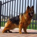 KARMEN z Krainy Tura