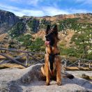 Horsens Waldrudel von der Negra 