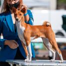 J.Ch.Pl CH-PL. SMOKE ON THE WATER the Red Ranch