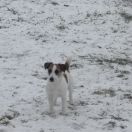 Сияющий Бриллиант Габриелла