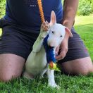 KALIBER Hexeside FCI 