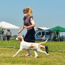 Vardamak La Fija d'Barabba