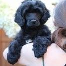 Special Vero Claircreek Call Me Adorable