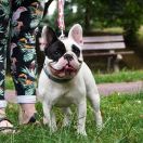 VALEGRA Malure MeiMei