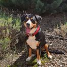 Gina From The Earth Axis