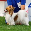 FENOMEN Spiska Watra 