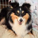 ILUZJA z Solnej Ziemi