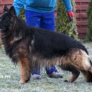 ESTO Kuyavia (Fci) - Reproduktor