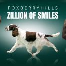 FOXBERRYHILLS ZILLION OF SMILES