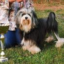 Mirabella Mio Amore Bi-Bi